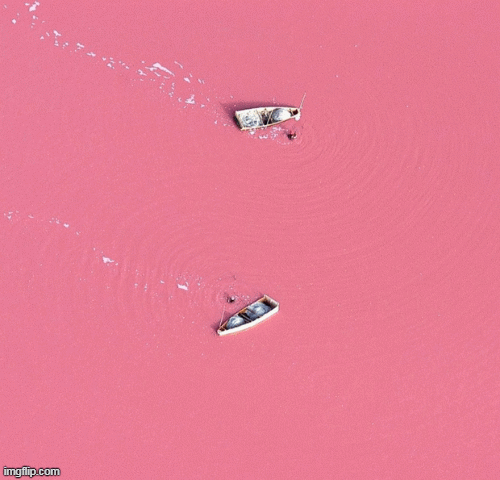 1001 thắc mắc: Hồ Hillier nằm ở đâu, vì sao nước có màu hồng ‘ma quái’?