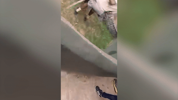 Du khách hú vía vì cá sấu tấn công nhân viên sở thú khi trình diễn 