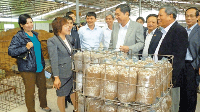 Phó Bí thư thường trực Thành ủy Nguyễn Công Soái (đứng thứ hai hàng đầu từ phải sang) thăm dự án trồng nấm công nghệ cao.