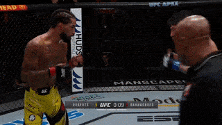 Video: Võ sĩ UFC tung cú đá 'lốc xoáy' khiến đối thủ bất tỉnh
