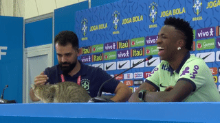 Video: &apos;Vị khách không mời&apos; đột nhập phòng họp báo của Brazil làm ai cũng bật cười 