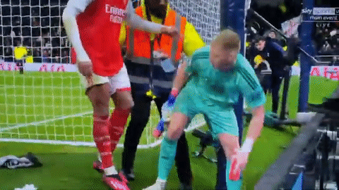 Cổ động viên Tottenham nhảy vào sân đá trộm sao Arsenal