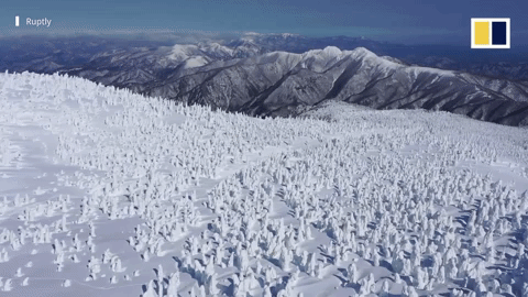 Khu rừng &apos;quái vật tuyết&apos; kỳ thú trên núi Zao ở Nhật Bản