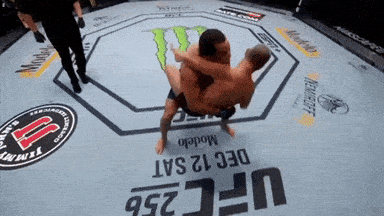 Tân binh UFC tung cú quật kinh hoàng: Đối thủ bất tỉnh, người xem ‘khóc thét’