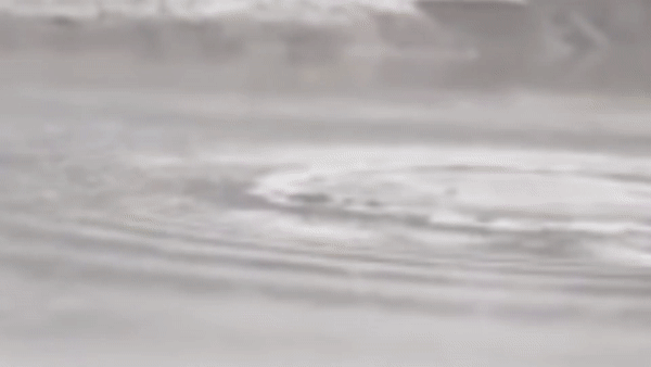 Hình ảnh cắt từ đoạn video cho thấy, đầu "sinh vật lạ" nhô lên khỏi mặt nước