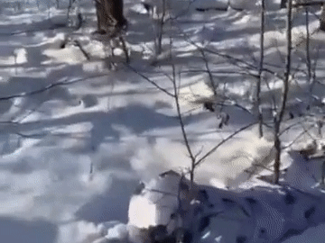 Binh sĩ Ukraine khổ luyện dưới tuyết, sẵn sàng tác chiến trong mùa Đông khắc nghiệt