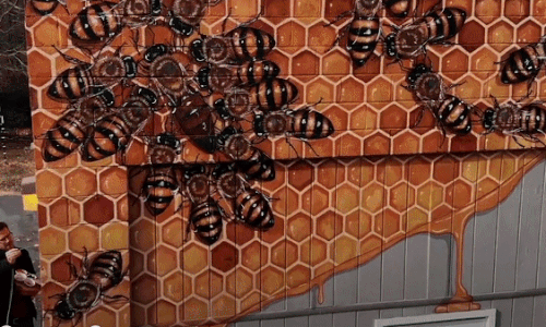 Kinh ngạc với họa sĩ đi khắp thế giới để vẽ 50.000 con ong khổng lồ