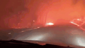 Cháy rừng ở California: Cặp đôi nín thở lái xe băng qua biển lửa