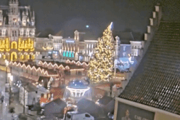Bỉ: Cây thông Giáng sinh cao 20m bất ngờ đổ sập, ba người thương vong