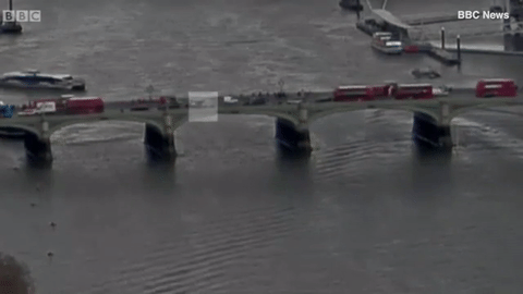 Khoảnh khắc người phụ nữ nhảy xuống sông khi chiếc xe khủng bố lao trên cầu Westminster.