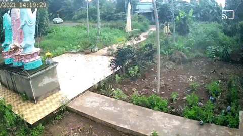 Bán tải đâm trực diện xe ba bánh tại khúc cua khuất