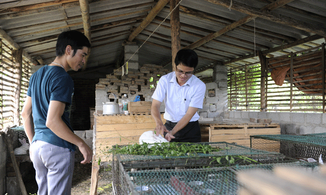 Phó Chủ tịch xã Quế Sơn (Sơn Động, Bắc Giang) Trần Sỹ Trung (bìa phải) hướng dẫn thanh niên nuôi thỏ, giúp nhiều hộ dân thoát nghèo. Ảnh: Xuân Tùng.