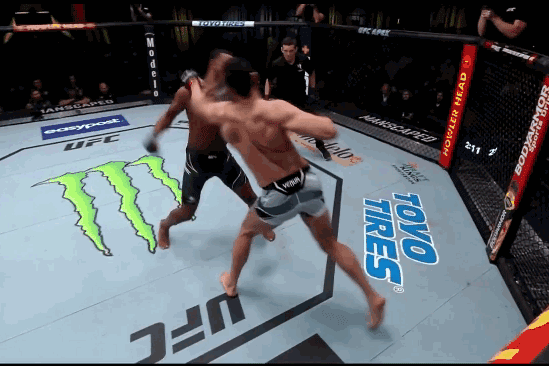 Jamahal Hill tung cú đấm hạ knock-out Johnny Walker. 