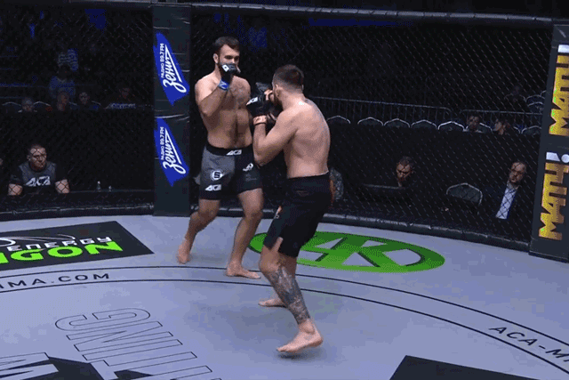 Ruslan Gabaraev ra đòn chính xác khiến Stepan Gorshechnikov gục ngã.
