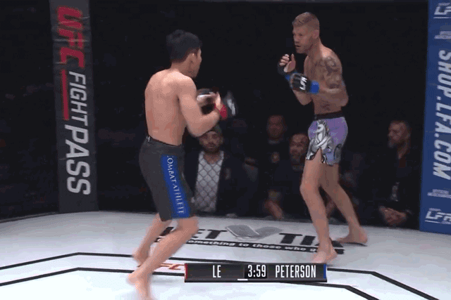 Quang Lê đá trúng đầu Cody Peterson.
