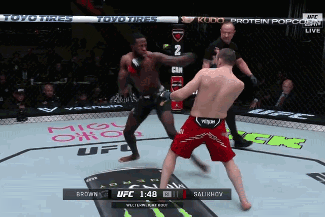 Randy Brown đấm gục Muslim Salikhov.