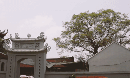 Ngỡ ngàng di tích quốc gia Chùa Đậu được ‘cấy' thêm nhiều công trình hoành tráng