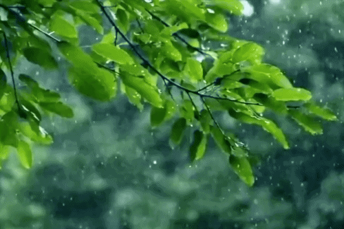 Thời tiết miền Bắc tuần này: Có nơi rét đậm rét hại, chú ý nồm ẩm