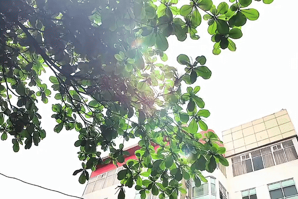 Dự báo Hà Nội có khoảng một tuần thời tiết oi bức, bao giờ chấm dứt?