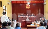 Gần 40 người dân hầu tòa vì chặt hơn 7.000 cây bạch đàn