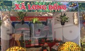 Sôi nổi Lễ hội quýt vàng Bắc Sơn