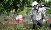 Kết quả xét nghiệm nước sông Đà: Có chỉ số vượt ngưỡng