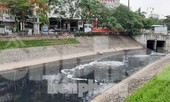 Chủ tịch Hà Nội nói về việc làm sạch nước sông Tô Lịch