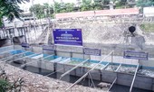 Làm sạch sông Tô Lịch: Chưa rõ kết quả, giá tiền công nghệ Nhật Bản