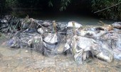 Cty Thanh Hà nói gì về thông tin 'thuê người đầu độc nước sông Đà'?
