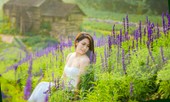 Cánh đồng hoa Nữ hoàng xanh như trời Âu giữa Hà Nội