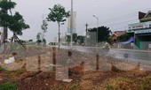 Phun hóa chất diệt cỏ 'vệ sinh' đường giao thông: Biết cấm, vẫn làm