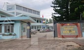 Nhận gỗ lậu, lãnh đạo kiểm lâm vẫn liên tục đạt danh hiệu 'chiến sĩ thi đua'