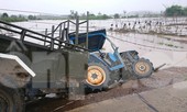 Hậu bão số 6: Người Đắk Lắk 'buốt ruột' khi tài sản, hoa màu mất trắng