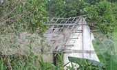 Khu di tích lịch sử cấp Quốc gia xuống cấp nghiêm trọng