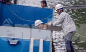 Thủ tướng giao Hà Nội đánh giá, nhân rộng kết quả thí điểm làm sạch sông Tô Lịch