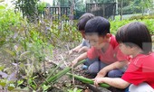 Dạy kỹ năng cho trẻ: Tự phát, không kiểm soát