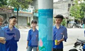 Hàng trăm cột điện ‘nở hoa’ ở xứ Thanh