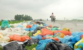 Thảm hoạ môi trường từ túi nilon, rác thải nhựa