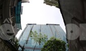 Hiện trạng toà nhà 8B Lê Trực sau nhiều năm yêu cầu 'cắt ngọn'