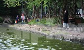 Bờ kè Hồ Gươm sạt lở nghiêm trọng, cảnh báo khách du lịch không đến gần