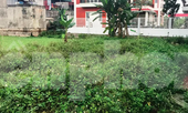 Chủ tịch xã mất chức vì lấn chiếm đất công, nhận tiền bồi thường sai quy định