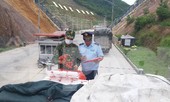 Lạng Sơn: Xuất khẩu quả vải tươi qua cửa khẩu giảm mạnh