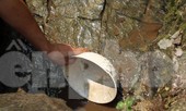 Hạn hán nghiêm trọng, học trò biên giới tan trường lại lặn lội vào rừng tìm nước