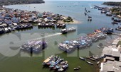 Bộ Văn hóa nói gì về văn bản ‘xin’ 400 vé máy bay của Tổng cục Du lịch?