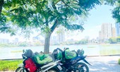 “Săn bóng râm” tranh thủ chợp mắt giữa trưa nắng Hà Nội