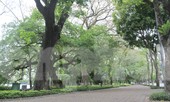 Công an chốt trực ngăn người dân tập thể dục quanh Hồ Gươm