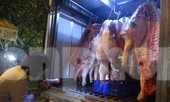 Heo về chợ đầu mối “tuột” không phanh