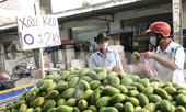 Xoài vào mùa, tràn xuống lề đường giá chỉ 5.000 đồng/kg