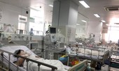 Nam sinh lớp 6 bị cây ngã đè tử vong: Mẹ mới sinh em bé được 2 ngày