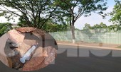 Bỏ hoang đất 'vàng' do năng lực yếu, hay cố tình không thu hồi?